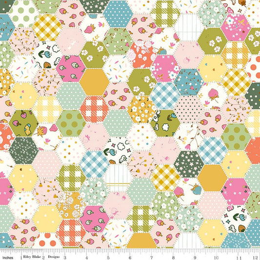 Riley Blake Ashmere Hexies Multi