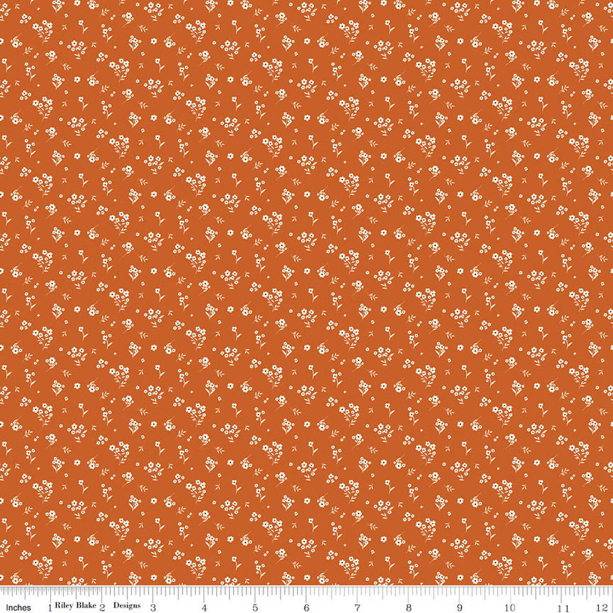 Riley Blake Acorn & Amber Cosmos Orange