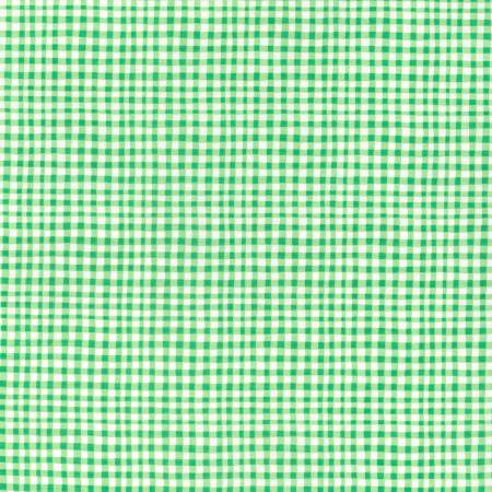 Michael Miller Gingham Play - Leaf