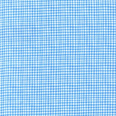 Michael Miller Gingham Play - Blue