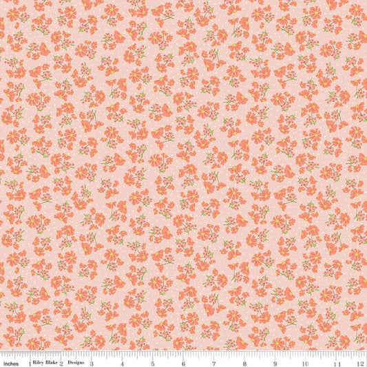 Riley Blake Honeycomb Hill Pretty Petals Blush